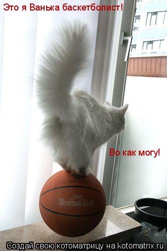 Это я Ванька баскетболист! Во как могу!... Котоматрица: Это я Ванька баскетболист! Во как могу!