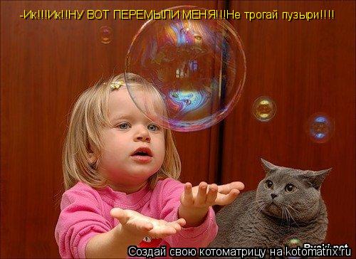 -Ик!!!Ик!!НУ ВОТ ПЕРЕМЫЛИ МЕНЯ!!!Не трогай пузыри!!!!... Котоматрица: -Ик!!!Ик!!НУ ВОТ ПЕРЕМЫЛИ МЕНЯ!!!Не трогай пузыри!!!!