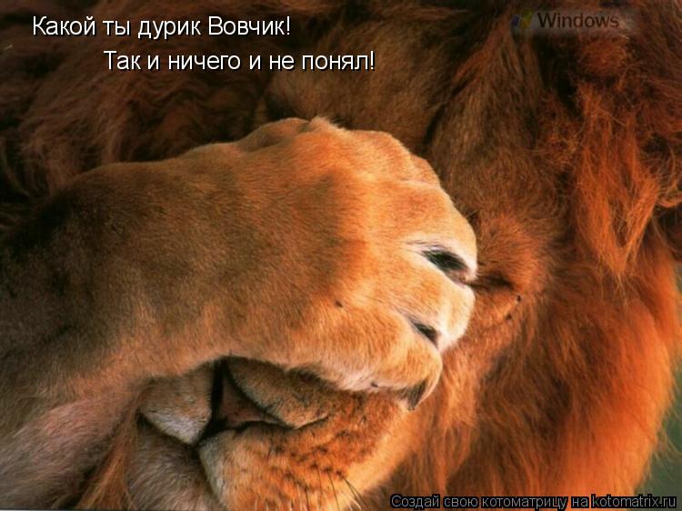 Какой ты дурик Вовчик! Так и ничего и не понял!... Котоматрица: Какой ты дурик Вовчик! Так и ничего и не понял!