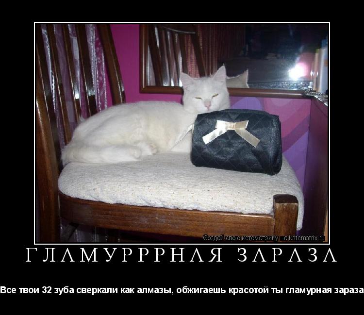 ГлаМУРРРная зараза Все твои 32 зуба сверкали как алмазы, обжигаешь красотой ты гламурная зараза... Котоматрица: ГлаМУРРРная зараза Все твои 32 зуба сверкали как алмазы, обжигаешь красотой ты гламурная зараза