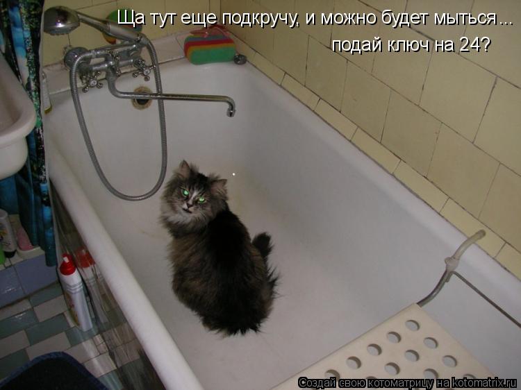 Ща тут еще подкручу, и можно будет мыться подай ключ на 24? ...... Котоматрица: Ща тут еще подкручу, и можно будет мыться подай ключ на 24? ...