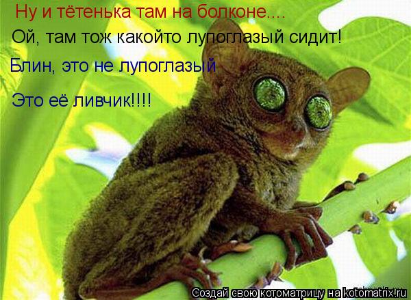 Ну и тётенька там на болконе.... Ой, там тож какойто лупоглазый сидит! Блин, это не лупоглазый Это её... Котоматрица: Ну и тётенька там на болконе.... Ой, там тож какойто лупоглазый сидит! Блин, это не лупоглазый Это её ливчик!!!!