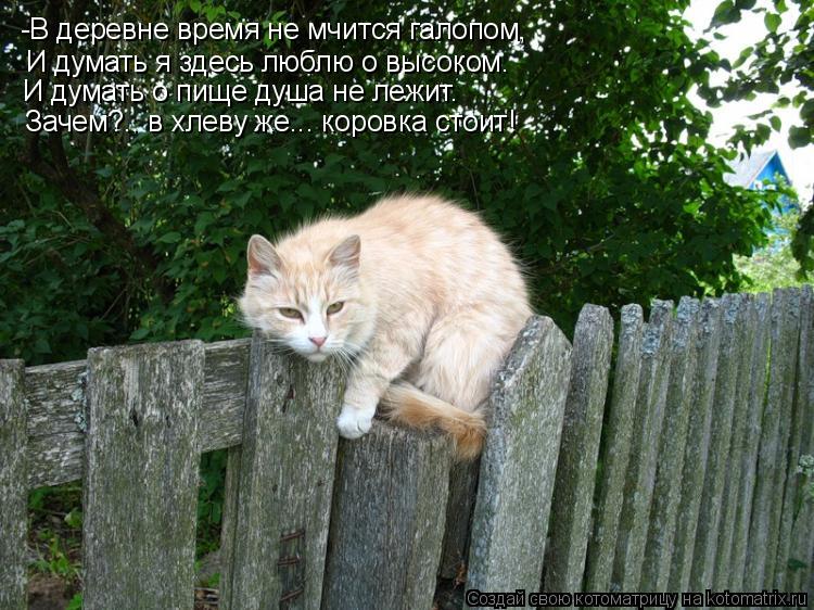-В деревне время не мчится галопом, И думать я здесь люблю о высоком. И думать о пище душа не лежит. ... Котоматрица: -В деревне время не мчится галопом, И думать я здесь люблю о высоком. И думать о пище душа не лежит. Зачем?.. в хлеву же... коровка стоит!