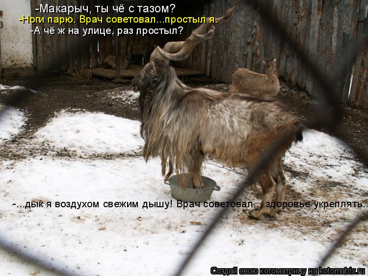 -Макарыч, ты чё с тазом? -Ноги парю. Врач советовал...простыл я. -А чё ж на улице, раз простыл? -...д... Котоматрица: -Макарыч, ты чё с тазом? -Ноги парю. Врач советовал...простыл я. -А чё ж на улице, раз простыл? -...дык я воздухом свежим дышу! Врач советовал... здо