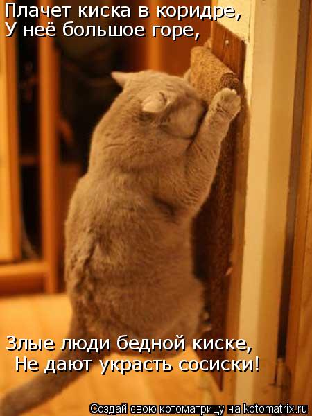 Плачет киска в коридре, У неё большое горе, Злые люди бедной киске, Не дают украсть сосиски!... Котоматрица: Плачет киска в коридре, У неё большое горе, Злые люди бедной киске, Не дают украсть сосиски!