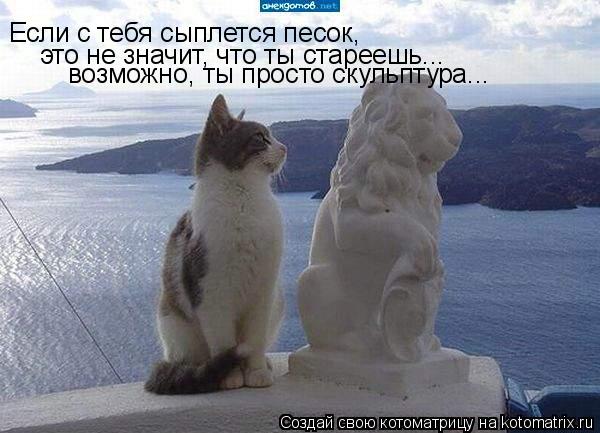 Если с тебя сыплется песок, это не значит, что ты стареешь... возможно, ты просто скульптура...... Котоматрица: Если с тебя сыплется песок, это не значит, что ты стареешь... возможно, ты просто скульптура...
