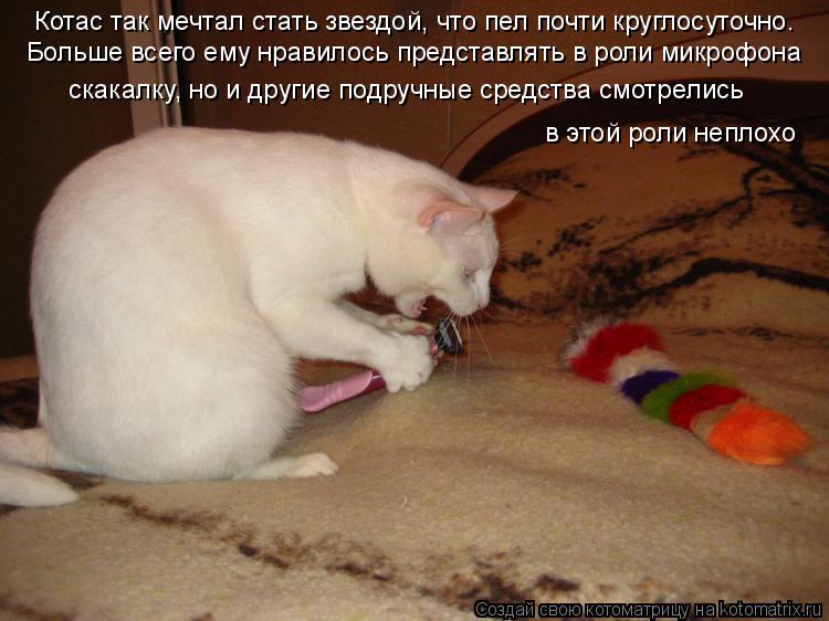Котас так мечтал стать звездой, что пел почти круглосуточно. Больше всего ему нравилось представлять ... Котоматрица: Котас так мечтал стать звездой, что пел почти круглосуточно. Больше всего ему нравилось представлять в роли микрофона скакалку, но и другие