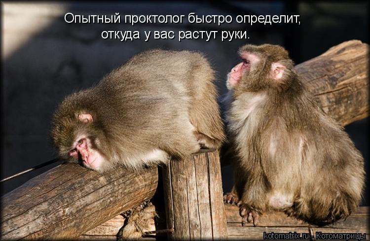 Опытный проктолог быстро определит, откуда у вас растут руки.... Котоматрица: Опытный проктолог быстро определит, откуда у вас растут руки.