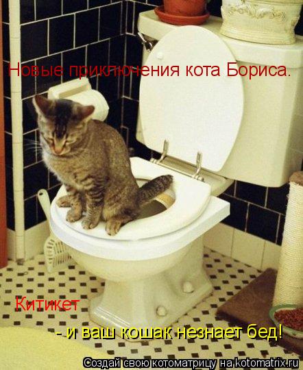 Новые приключения кота Бориса. Китикет - и ваш кошак незнает бед!... Котоматрица: Новые приключения кота Бориса. Китикет - и ваш кошак незнает бед!