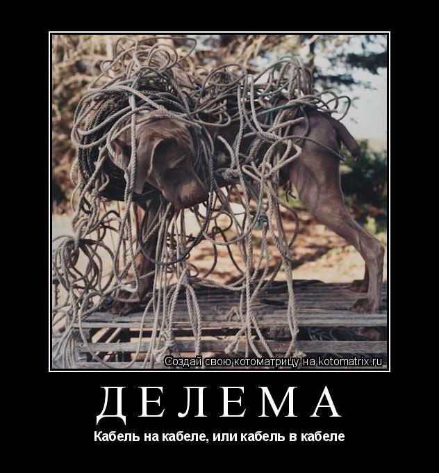 ДЕЛЕМА Кабель на кабеле, или кабель в кабеле... Котоматрица: ДЕЛЕМА Кабель на кабеле, или кабель в кабеле
