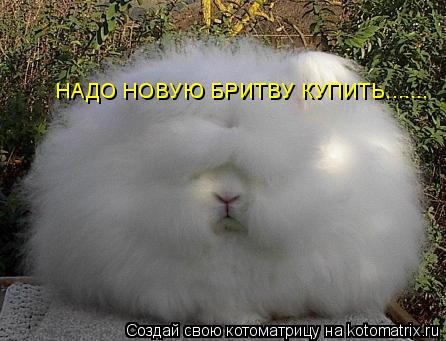 НАДО НОВУЮ БРИТВУ КУПИТЬ.......... Котоматрица: НАДО НОВУЮ БРИТВУ КУПИТЬ.......