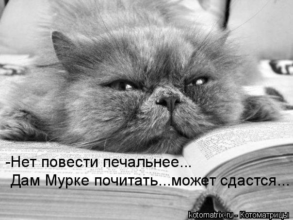-Нет повести печальнее... Дам Мурке почитать...может сдастся...... Котоматрица: -Нет повести печальнее... Дам Мурке почитать...может сдастся...