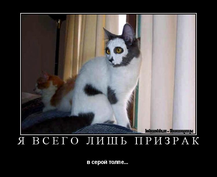 Я всего лишь призрак в серой толпе... ... Котоматрица: Я всего лишь призрак в серой толпе...