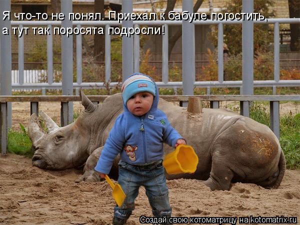 Я что-то не понял. Приехал к бабуле погостить, а тут так поросята подросли!... Котоматрица: Я что-то не понял. Приехал к бабуле погостить, а тут так поросята подросли!