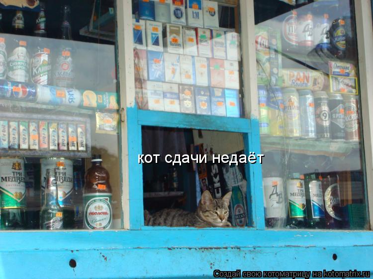 кот сдачи недаёт... Котоматрица: кот сдачи недаёт
