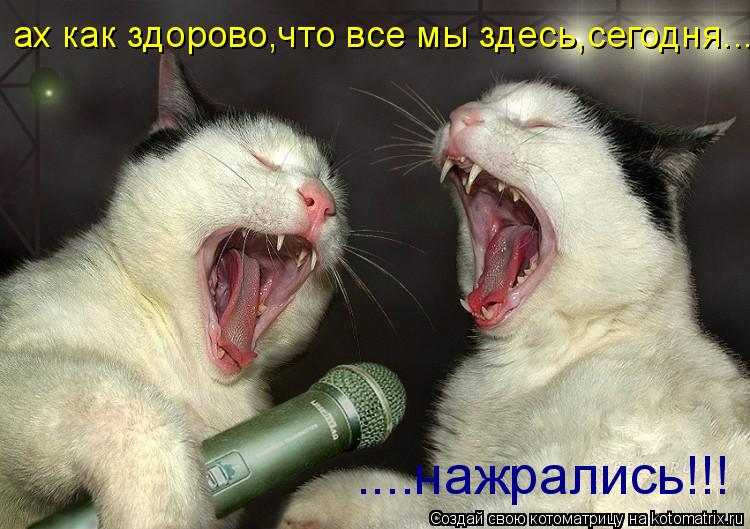 http://kotomatrix.ru/images/lolz/2009/03/31/DW.jpg