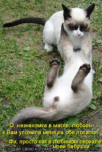 - О, незнакомка в маске, любовь к Вам уложила меня на обе лопатки! - Фи, просто как в любимом сериале... Котоматрица: - О, незнакомка в маске, любовь к Вам уложила меня на обе лопатки! - Фи, просто как в любимом сериале моей бабушки...
