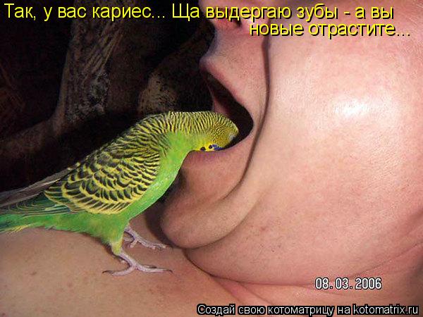 Так, у вас кариес... Ща выдергаю зубы - а вы новые отрастите...... Котоматрица: Так, у вас кариес... Ща выдергаю зубы - а вы новые отрастите...