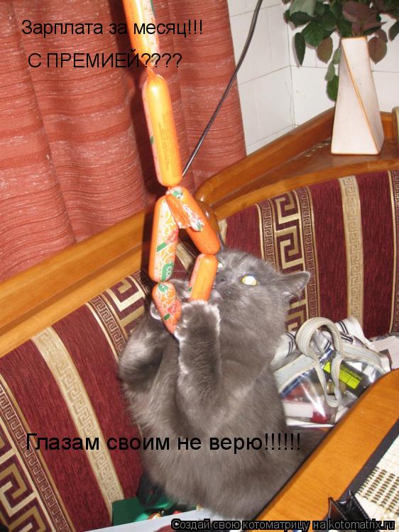 Зарплата за месяц!!! С ПРЕМИЕЙ???? Глазам своим не верю!!!!!!... Котоматрица: Зарплата за месяц!!! С ПРЕМИЕЙ???? Глазам своим не верю!!!!!!
