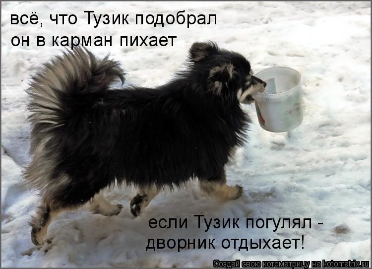 он в карман пихает если Тузик погулял - дворник отдыхает! всё, что Тузик подобрал... Котоматрица: он в карман пихает если Тузик погулял - дворник отдыхает! всё, что Тузик подобрал