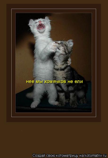 нее мы хомячков не ели... Котоматрица: нее мы хомячков не ели