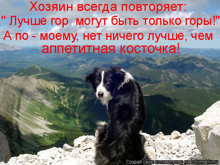 Хозяин всегда повторяет: " Лучше гор могут быть только горы!" аппетитная косточка! А по - моему, не... Котоматрица: Хозяин всегда повторяет: " Лучше гор могут быть только горы!" аппетитная косточка! А по - моему, нет ничего лучше, чем