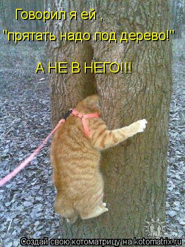 Говорил я ей"Пряч под дерево а не в него!" Говорил я ей , "прятать надо под дерево!" А НЕ В НЕГО!!!... Котоматрица: Говорил я ей"Пряч под дерево а не в него!" Говорил я ей , "прятать надо под дерево!" А НЕ В НЕГО!!!