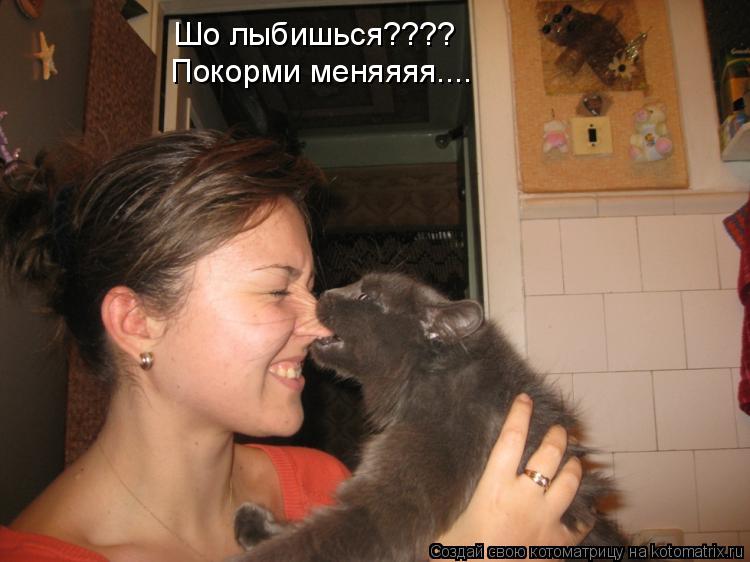 Шо лыбишься???? Покорми меняяяя....... Котоматрица: Шо лыбишься???? Покорми меняяяя....