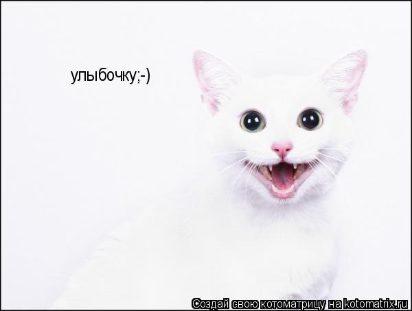 улыбочку;-)... Котоматрица: улыбочку;-)