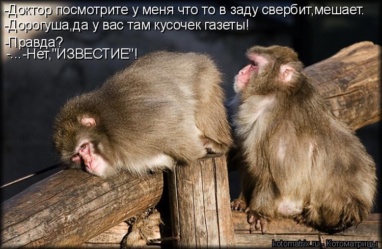 -Доктор посмотрите у меня что то в заду свербит,мешает. -Дорогуша,да у вас там кусочек газеты! -Правд... Котоматрица: -Доктор посмотрите у меня что то в заду свербит,мешает. -Дорогуша,да у вас там кусочек газеты! -Правда? -Нет,"ИЗВЕСТИЕ"! -...