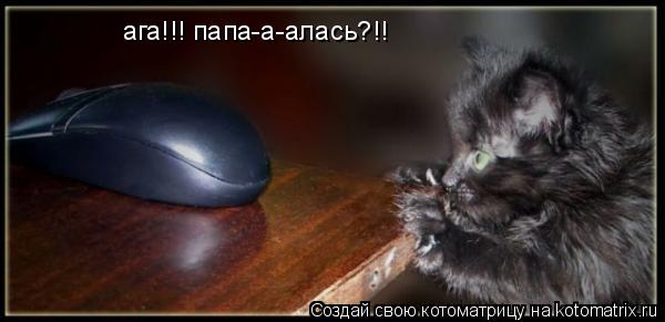 ага!!! папа-а-алась?!!... Котоматрица: ага!!! папа-а-алась?!!