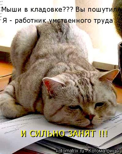 Я - работник умственного труда ... И СИЛЬНО ЗАНЯТ !!! Мыши в кладовке??? Вы пошутили?... Котоматрица: Я - работник умственного труда ... И СИЛЬНО ЗАНЯТ !!! Мыши в кладовке??? Вы пошутили?