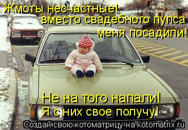 Жмоты несчастные! вместо свадебного пупса меня посадили! Не на того напали! Я с них свое получу!... Котоматрица: Жмоты несчастные! вместо свадебного пупса меня посадили! Не на того напали! Я с них свое получу!