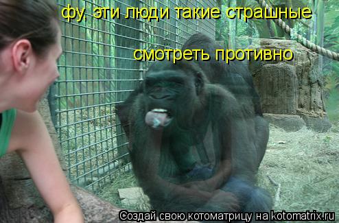 фу, эти люди такие страшные смотреть противно... Котоматрица: фу, эти люди такие страшные смотреть противно