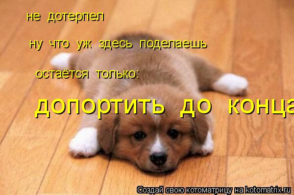 не дотерпел ну что уж здесь поделаешь остаётся только: допортить до конца... Котоматрица: не дотерпел ну что уж здесь поделаешь остаётся только: допортить до конца