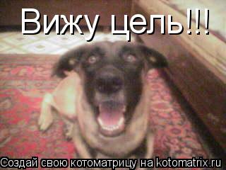 Вижу цель!!!... Котоматрица: Вижу цель!!!