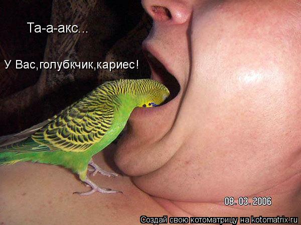 Та-а-акс... У Вас,голубкчик,кариес!... Котоматрица: Та-а-акс... У Вас,голубкчик,кариес!
