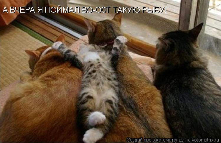 А ВЧЕРА Я ПОЙМАЛ ВО-О0Т ТАКУЮ РЫБУ!... Котоматрица: А ВЧЕРА Я ПОЙМАЛ ВО-О0Т ТАКУЮ РЫБУ!