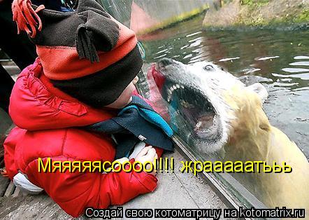 Мяяяяясоооо!!!! жрааааатььь... Котоматрица: Мяяяяясоооо!!!! жрааааатььь