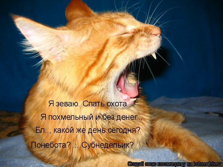 Я похмельный и без денег... Я зеваю. Спать охота. Бл.., какой же день сегодня? Понебота? ... Субнедел... Котоматрица: Я похмельный и без денег... Я зеваю. Спать охота. Бл.., какой же день сегодня? Понебота? ... Субнедельик?