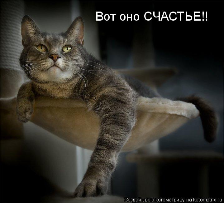 Вот оно СЧАСТЬЕ!!... Котоматрица: Вот оно СЧАСТЬЕ!!