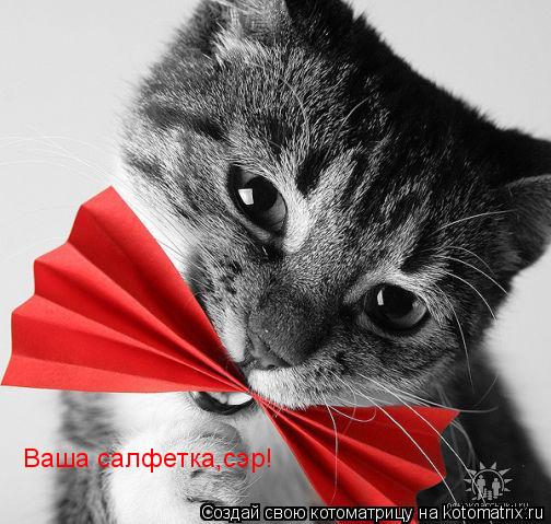 Ваша салфетка,сэр!... Котоматрица: Ваша салфетка,сэр!