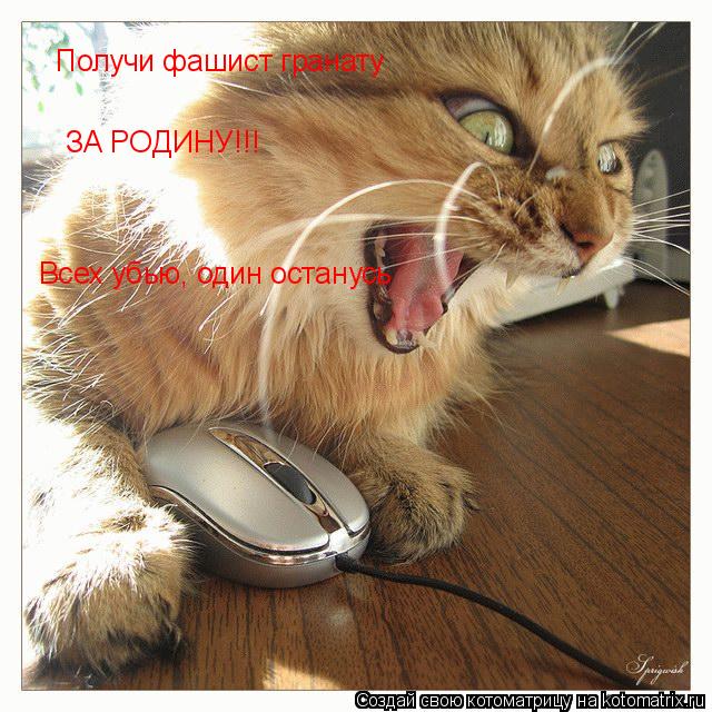 Получи фашист гранату ЗА РОДИНУ!!! Всех убью, один останусь... Котоматрица: Получи фашист гранату ЗА РОДИНУ!!! Всех убью, один останусь