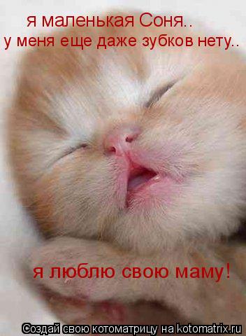 я маленькая Соня.. у меня еще даже зубков нету.. я люблю свою маму!... Котоматрица: я маленькая Соня.. у меня еще даже зубков нету.. я люблю свою маму!