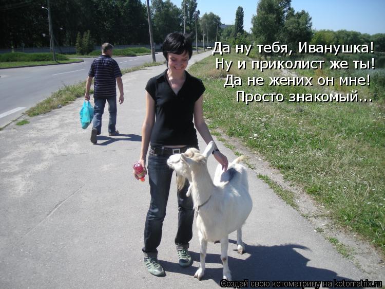 Котоматрица: -Да ну тебя, Иванушка! Ну и приколист же ты! Да не жених он мне! Просто знакомый...