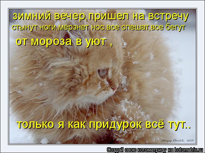 зимний вечер,пришел на встречу стынут ноги,мёрзнет нос.все спешат,все бегут от мороза в уют , только ... Котоматрица: зимний вечер,пришел на встречу стынут ноги,мёрзнет нос.все спешат,все бегут от мороза в уют , только я как придурок вcё тут..