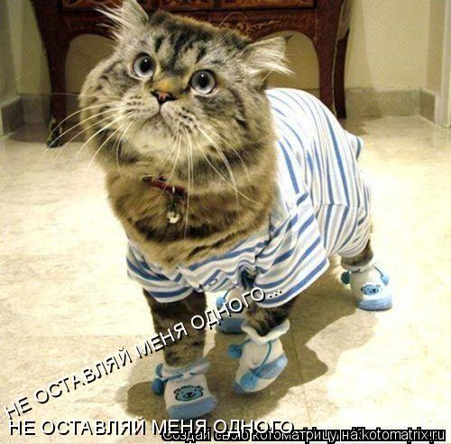 НЕ ОСТАВЛЯЙ МЕНЯ ОДНОГО... НЕ ОСТАВЛЯЙ МЕНЯ ОДНОГО...... Котоматрица: НЕ ОСТАВЛЯЙ МЕНЯ ОДНОГО... НЕ ОСТАВЛЯЙ МЕНЯ ОДНОГО...