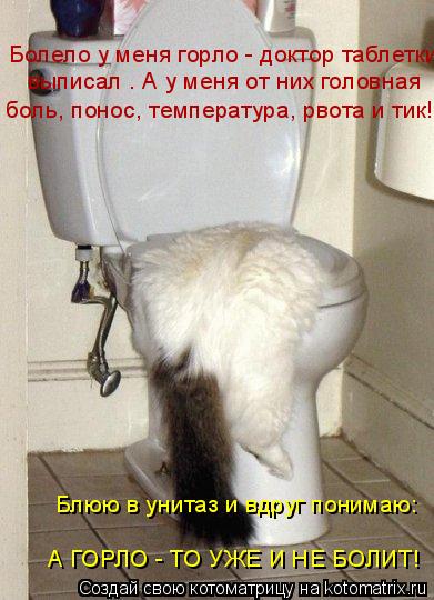 Болело у меня горло - доктор таблетки выписал . А у меня от них головная боль, понос, температура, ... Котоматрица: Болело у меня горло - доктор таблетки выписал . А у меня от них головная боль, понос, температура, рвота и тик! Блюю в унитаз и вдруг понимаю: