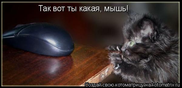 Так вот ты какая, мышь!... Котоматрица: Так вот ты какая, мышь!