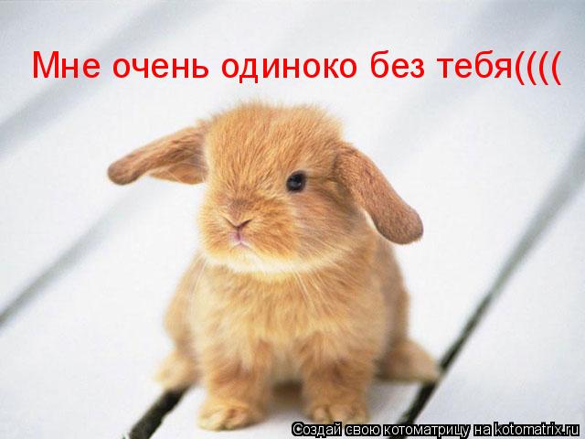 Мне очень одиноко без тебя((((... Котоматрица: Мне очень одиноко без тебя((((